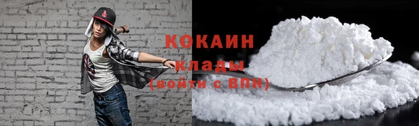 прущие крисы Бородино