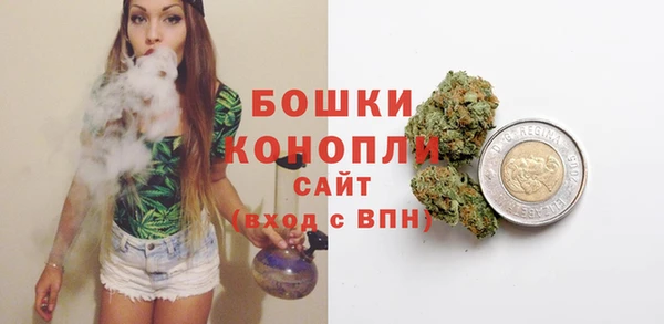 прущие грибы Бугульма
