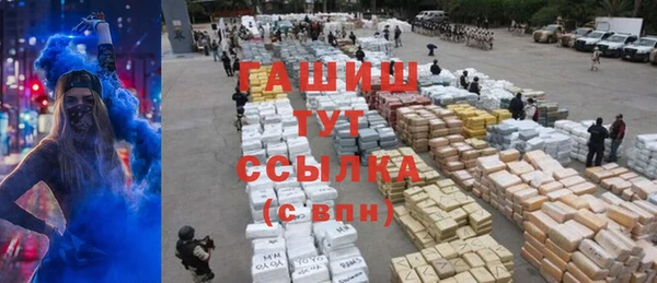 прущие крисы Бородино