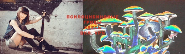 молекула духа Бронницы