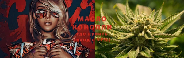 молекула духа Бронницы